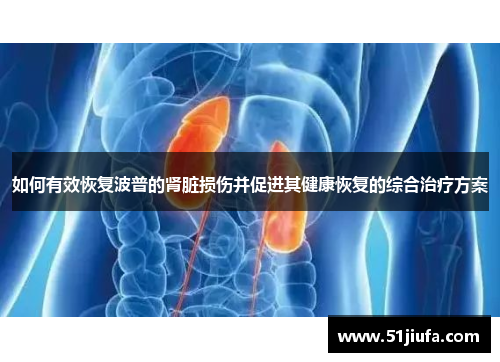 如何有效恢复波普的肾脏损伤并促进其健康恢复的综合治疗方案