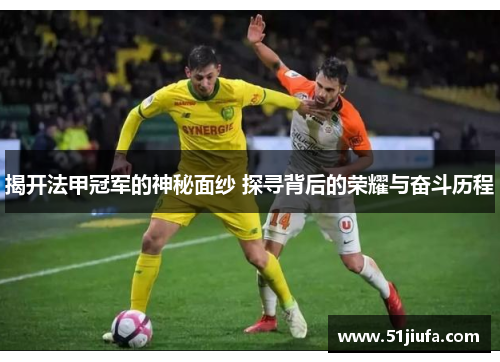 揭开法甲冠军的神秘面纱 探寻背后的荣耀与奋斗历程 揭开法甲冠军的神秘面纱 探寻背后的荣耀与奋斗历程