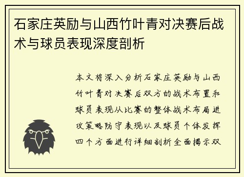 石家庄英励与山西竹叶青对决赛后战术与球员表现深度剖析